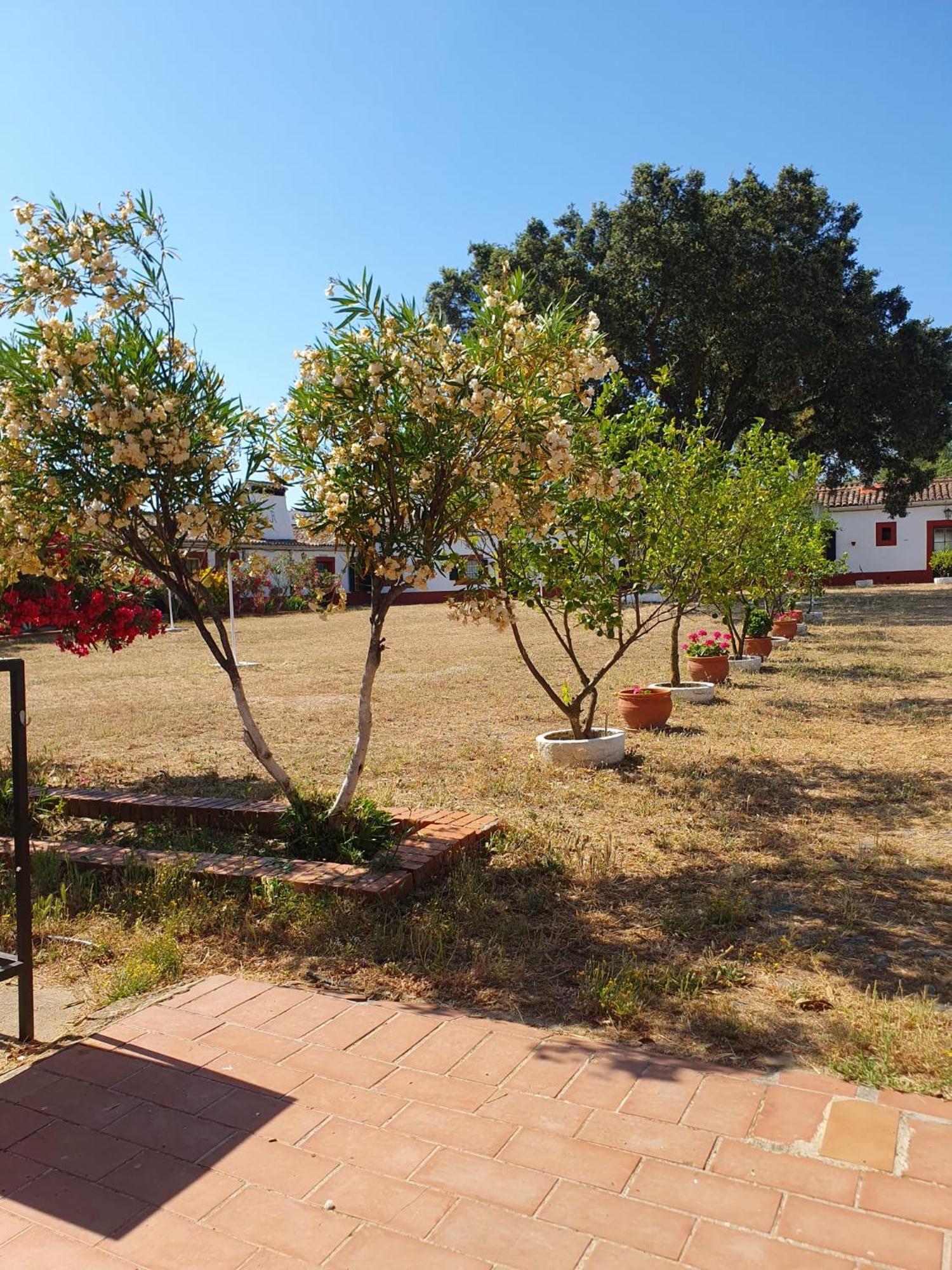 Hotel Rural El Vaqueril Navas Del Madrono Exterior photo