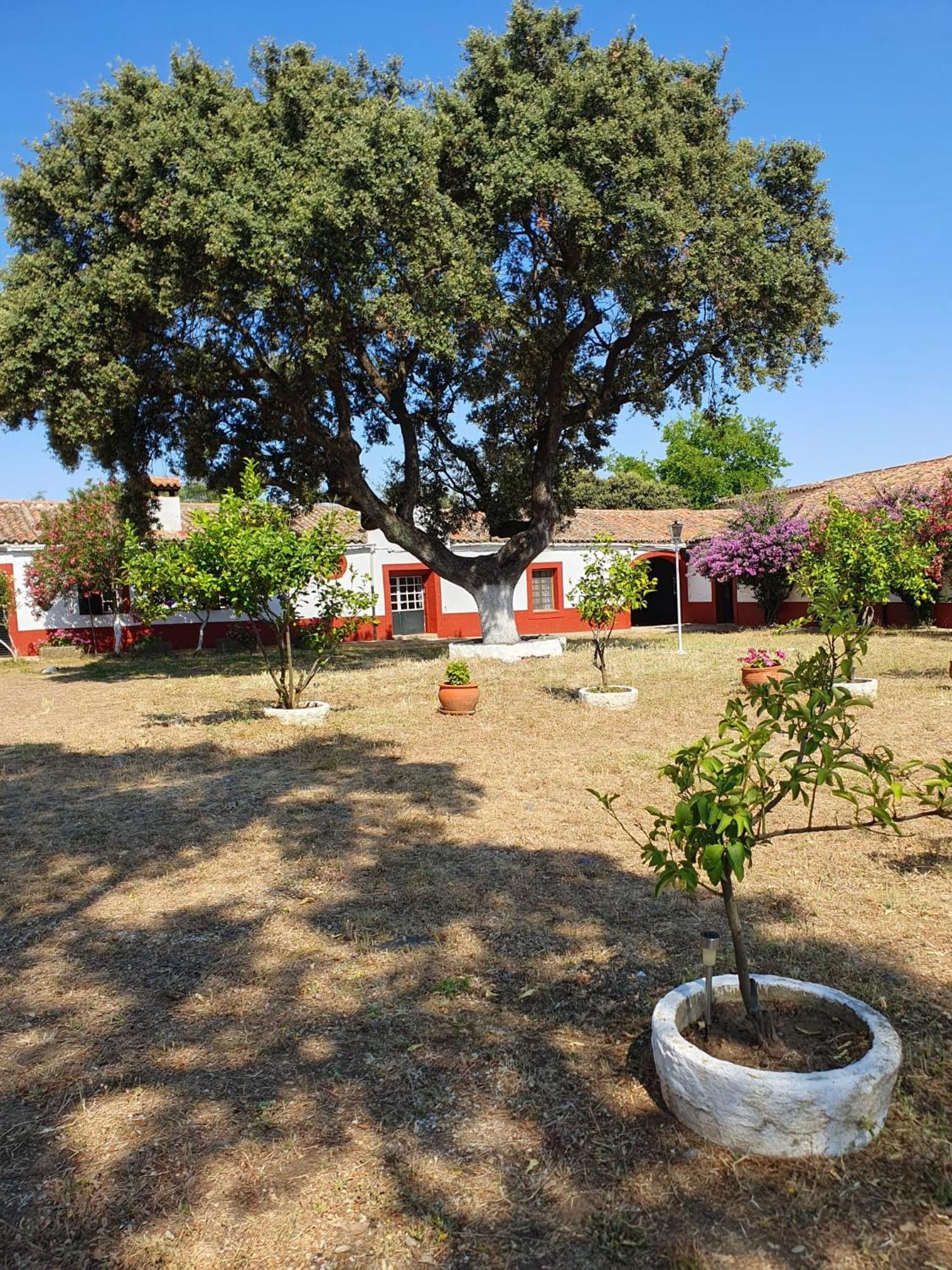 Hotel Rural El Vaqueril Navas Del Madrono Exterior photo